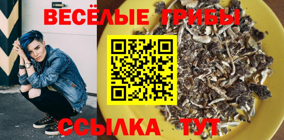 Псилоцибиновые грибы прущие грибы  Вход с VPN  Красноармейск  Галлюциногенные грибы Psilocybine cubensis 